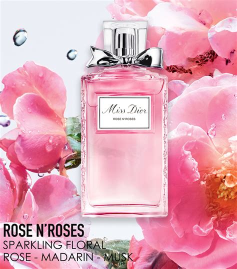 dior roses n roses review|miss dior rose n roses fragrantica.